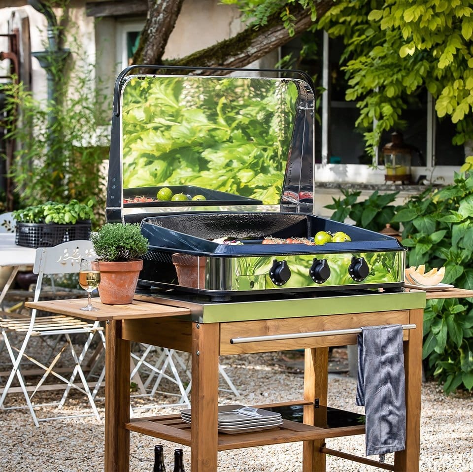 R ussir Sa Cuisson La Plancha Astuces Conseils Et Recettes